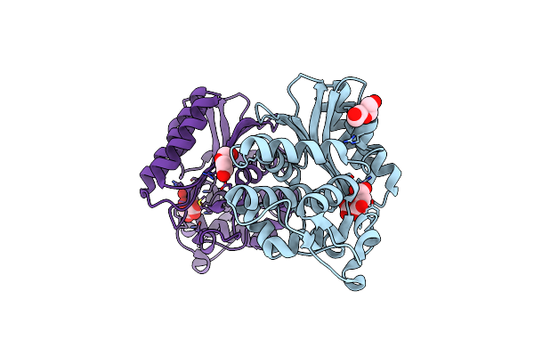 3P98 image