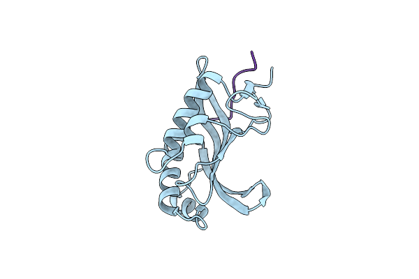 3P9H image