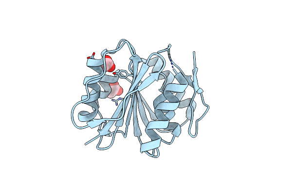 3P9N image