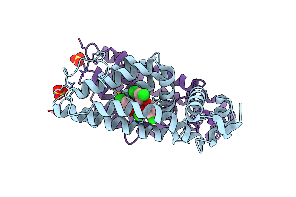 3P9T image