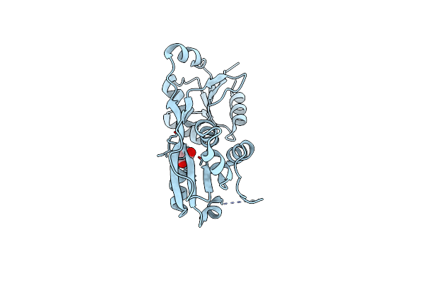 3P9Z image
