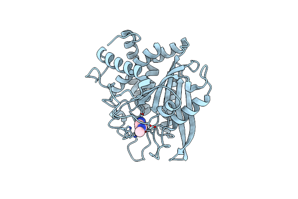3PB8 image