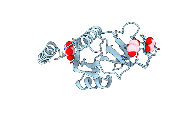 3PBF image