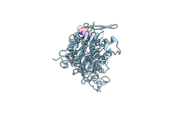 3PBR image