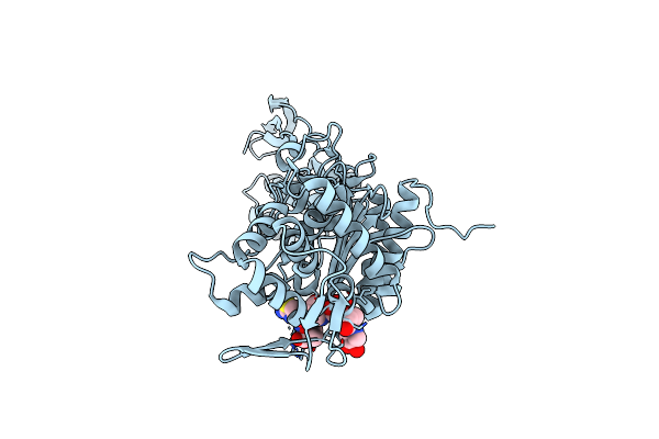 3PBT image