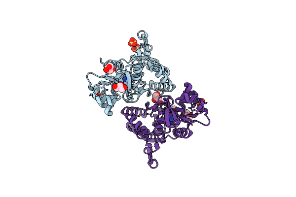 3PD9 image