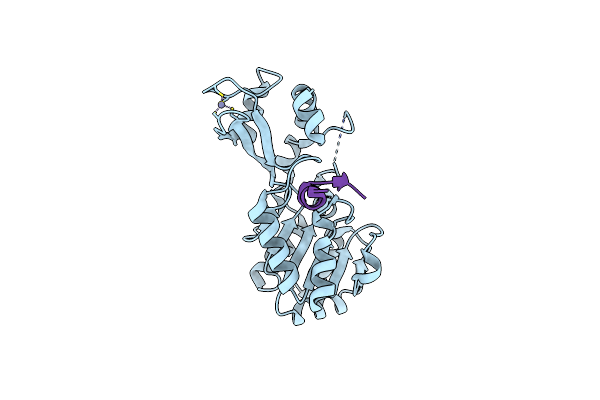 3PDH image