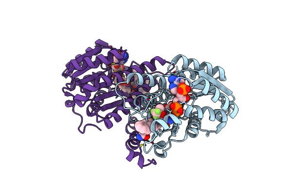 3PDJ image