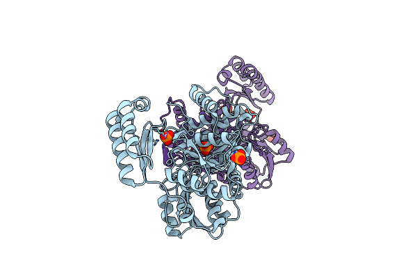 3PDK image
