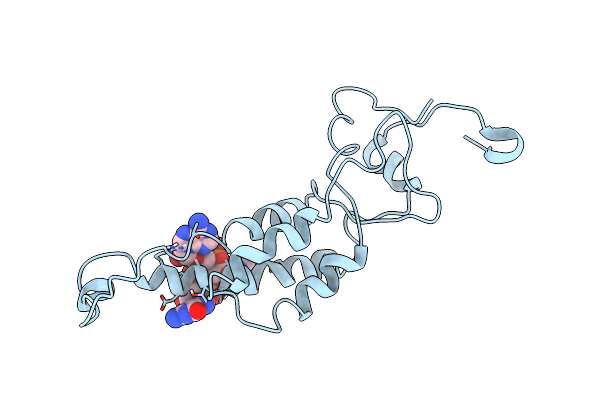 3PDM image