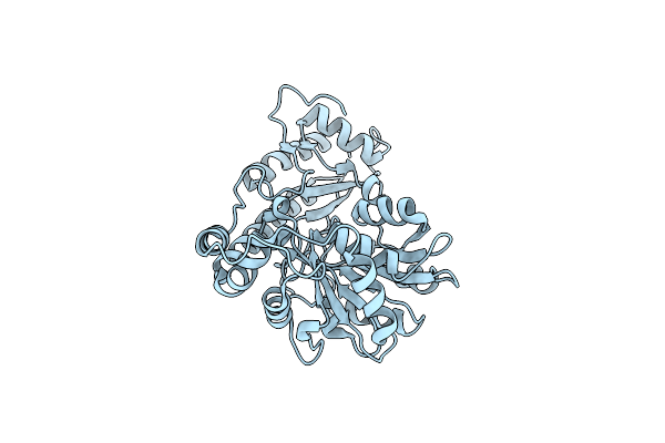 3PDX image