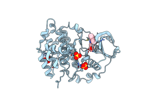 3PE2 image