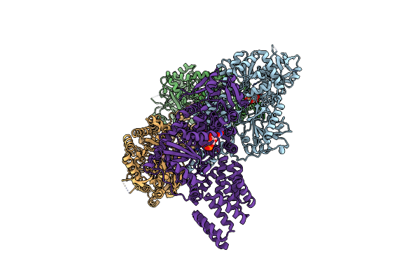 3PE3 image