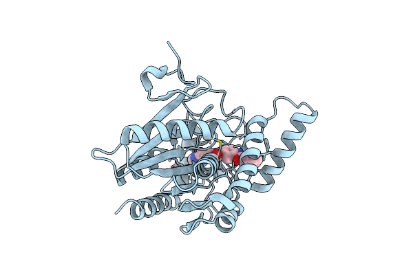 3PE6 image