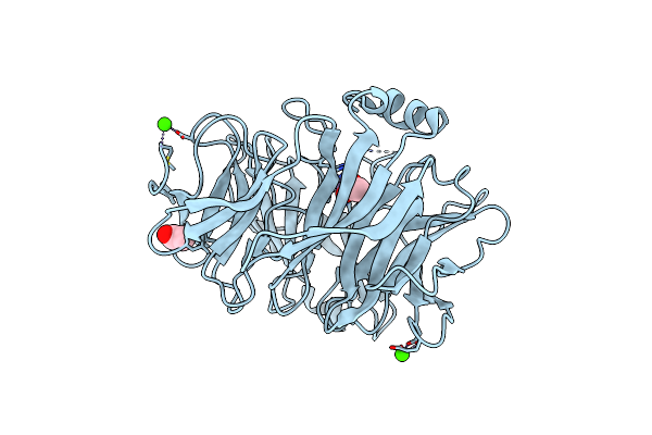 3PE7 image