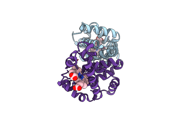 3PEL image