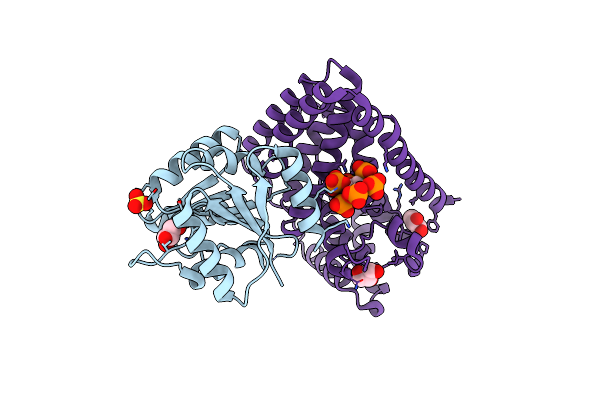 3PEV image