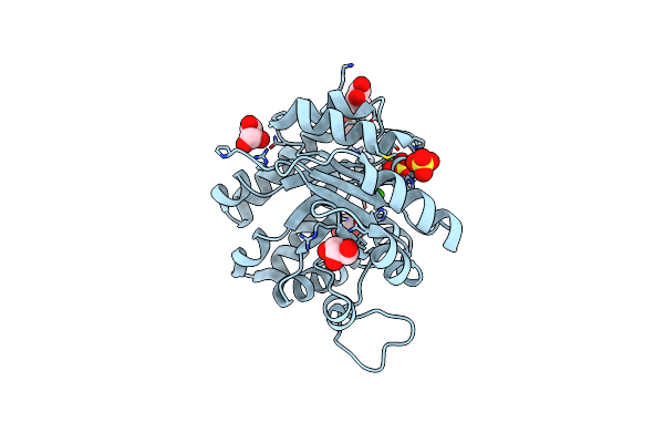 3PF3 image