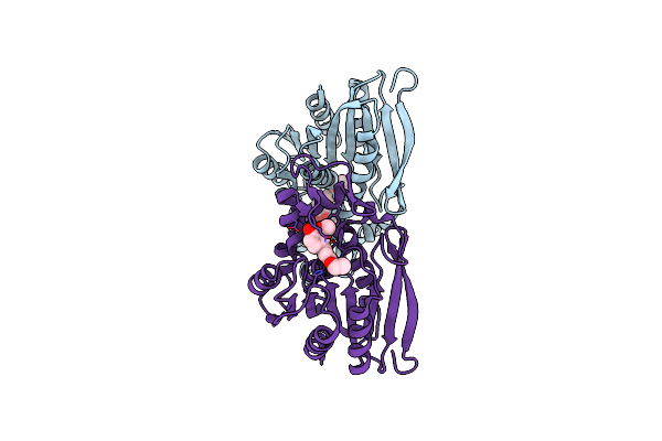 3PFB image