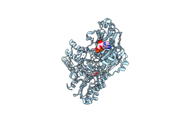 3PFF image
