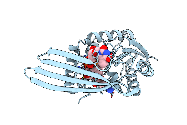 3PFG image