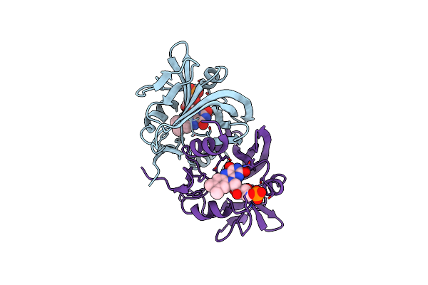 3PFT image