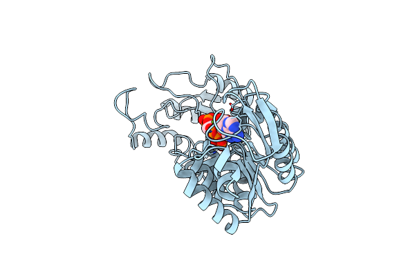 3PGK image