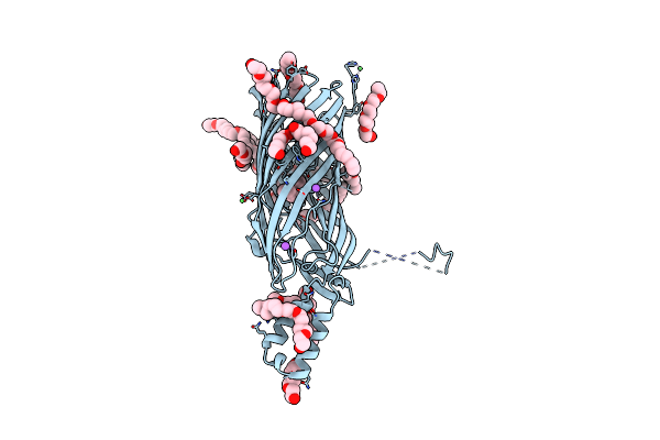 3PGU image