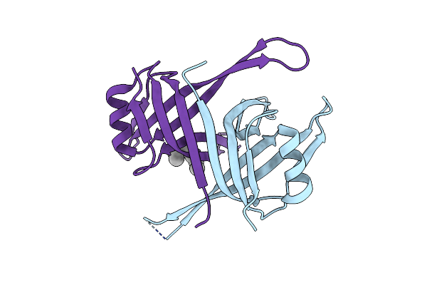 3PGZ image