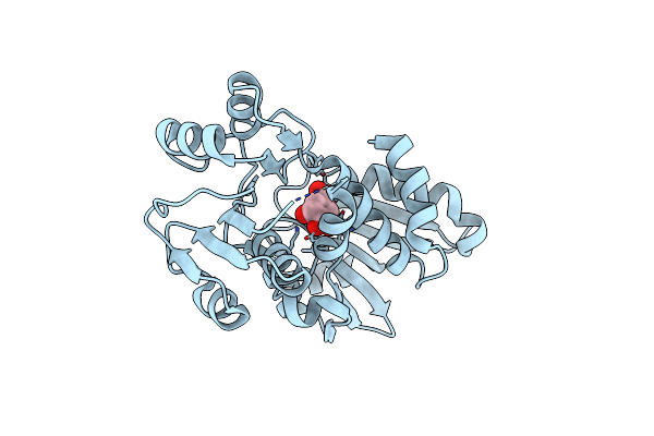 3PHH image