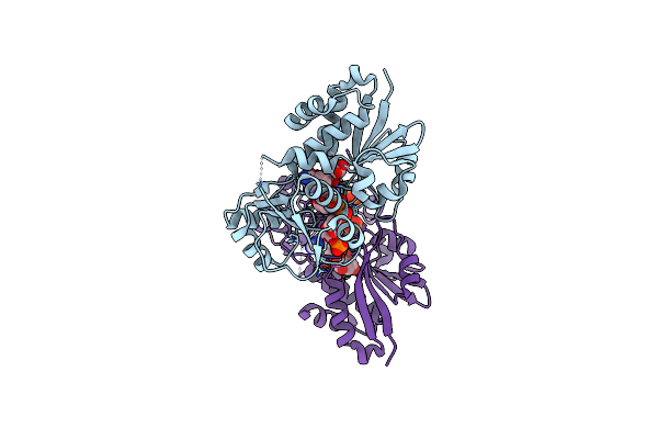 3PHI image