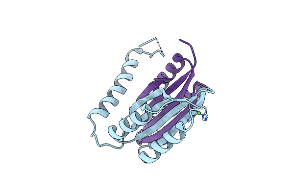 3PHT image