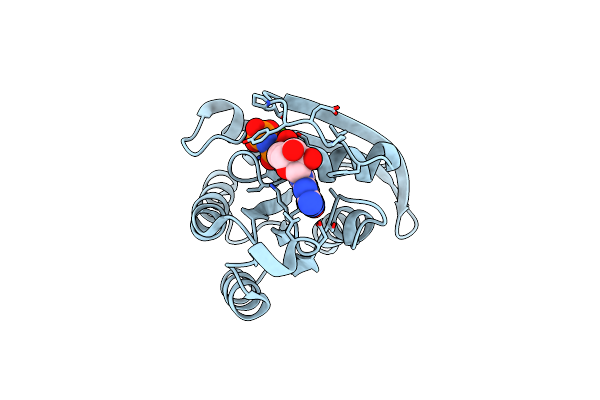 3PIT image