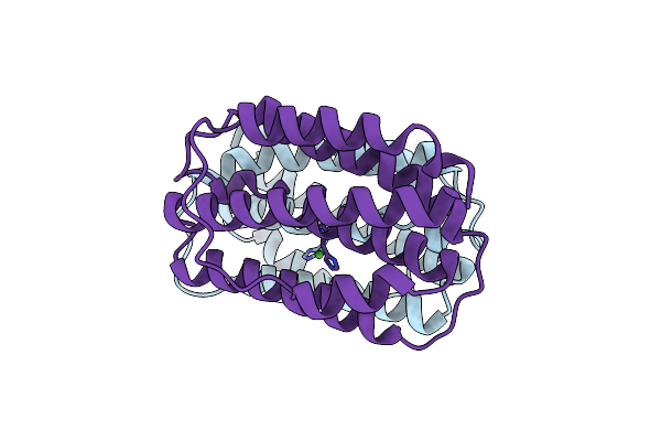 3PIV image