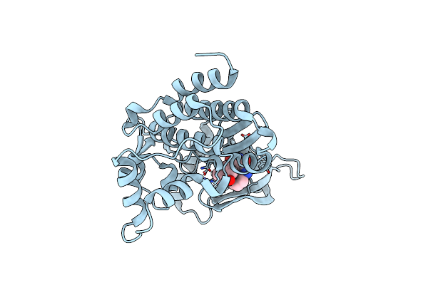 3PJC image