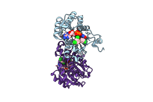 3PJF image