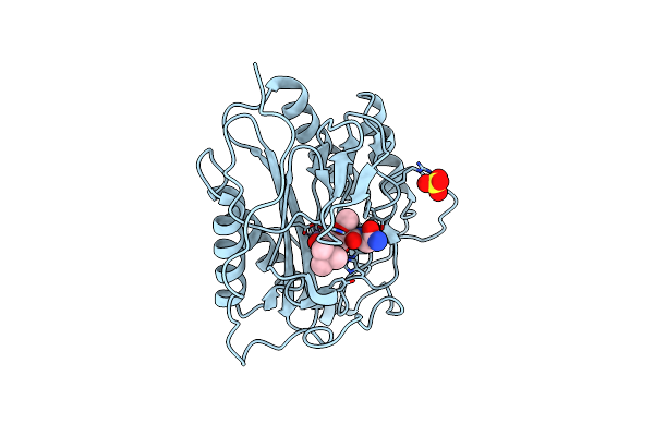 3PKB image