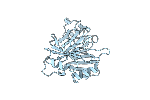 3PKV image