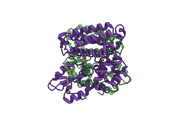 3PLF image