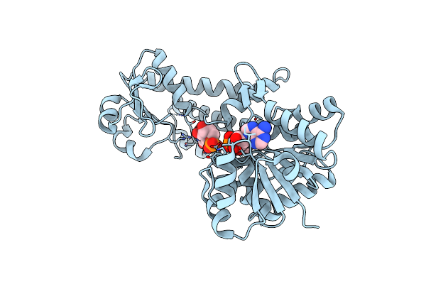 3PLR image