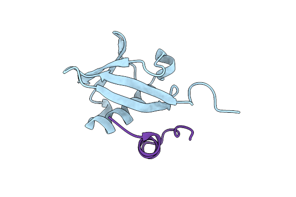 3PLV image
