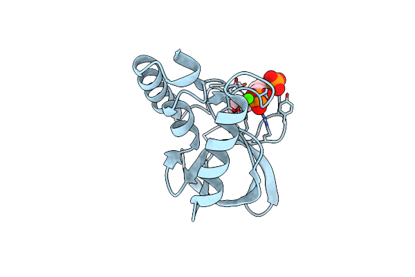3PMF image