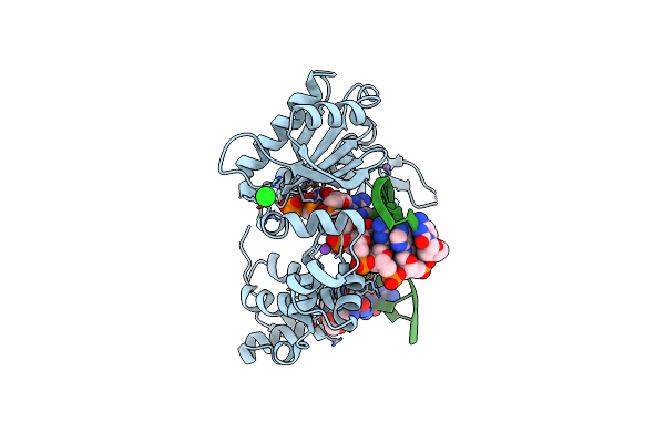 3PMN image