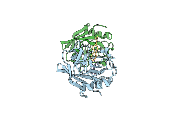 3PMP image