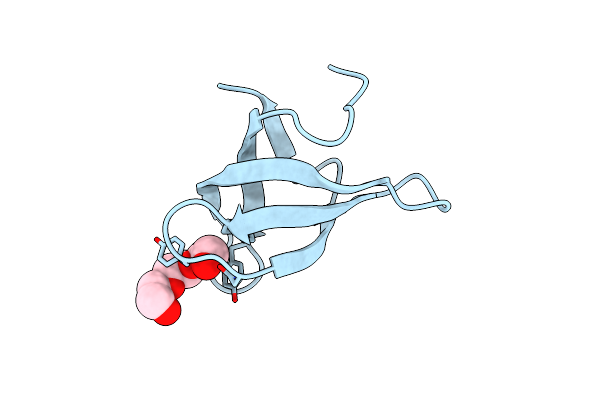 3PMT image