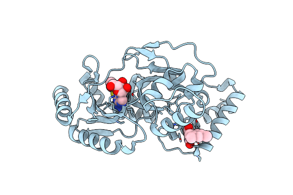 3PN1 image