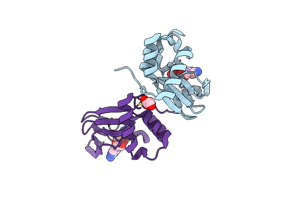 3PNA image