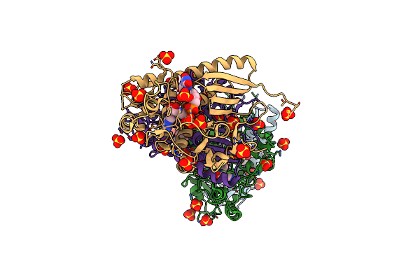 3PND image