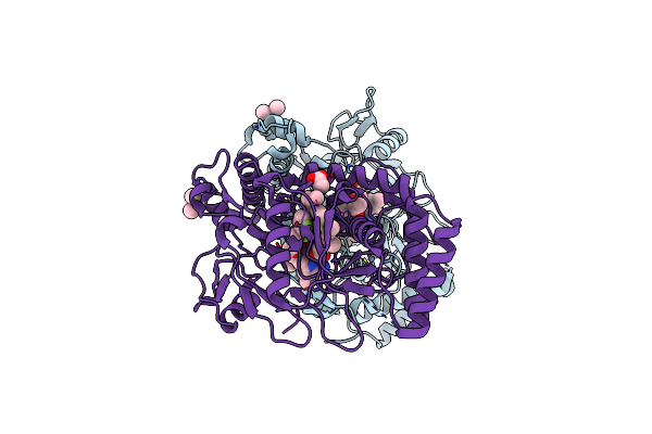 3PNH image