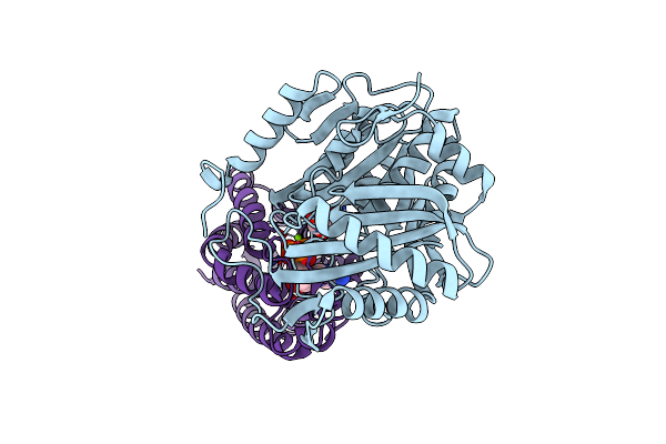 3PNL image